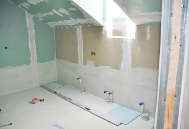 Best Black Mold Removal  in USA